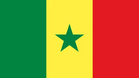 自由式滑雪世界杯阿拉木图：王心迪夺冠，徐梦桃银牌揽获