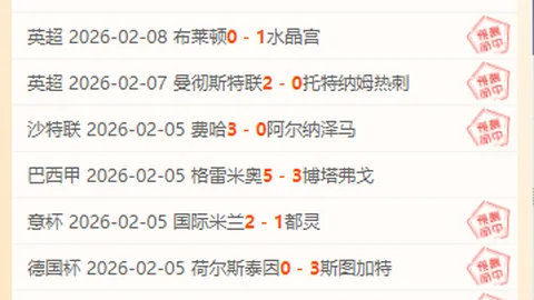 NBA专栏：专家解析火热状态，胜负总分详情揭晓